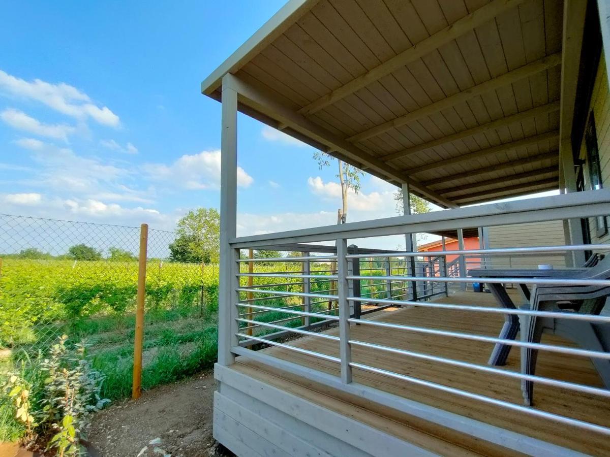 Garda Di Vino Agricamping & Wine Shop Lazise Ronchi  Екстериор снимка